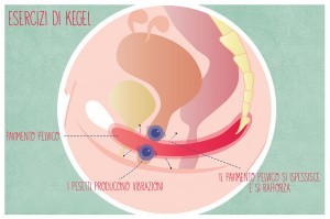 Esercizi di Kegel: la prima ginnastica senza sforzo!