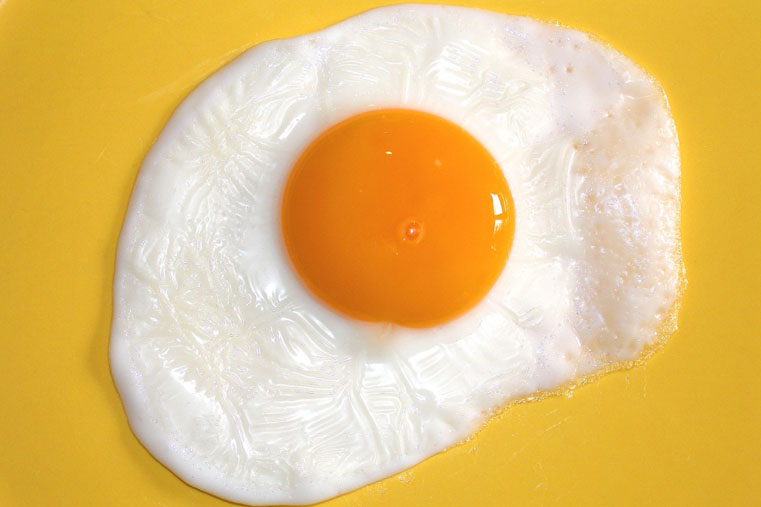 Periodo fertile e ovulazione femminile: i segnali infallibili