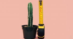 Quali sono i sinonimi di pene? Tanti, strani e divertenti: scoprili qui