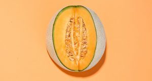 Com’è fatta la vagina?